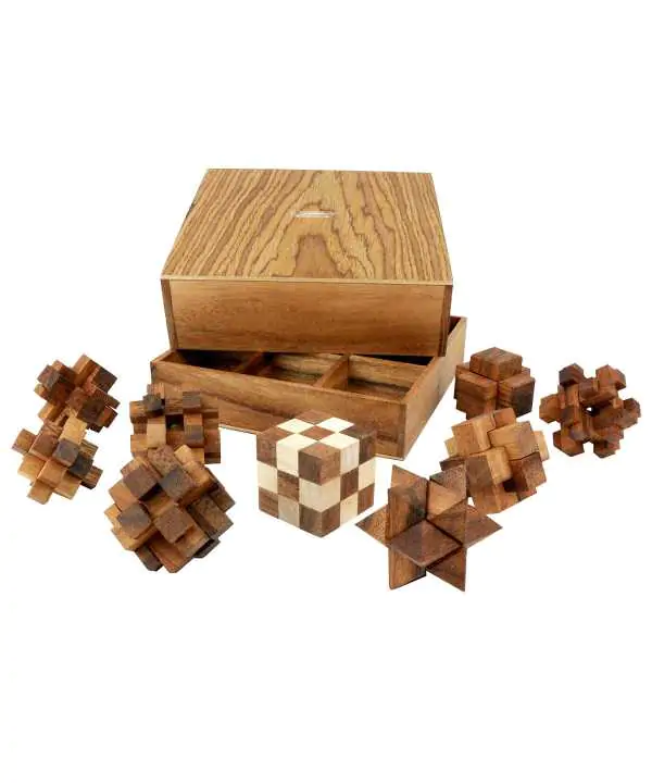 Set Leonardo 5 in 1 puzzles mix - Logica Puzzles